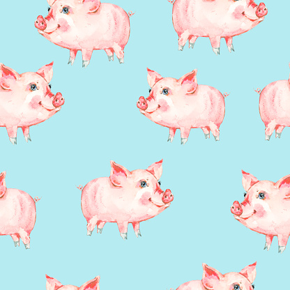 Watercolor seamless pattern with cute piggy. Animal pig watercolor illustration. Hand painted art work on blue background