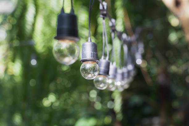 istock Close up of light bulb sort in a row with green background 646957792