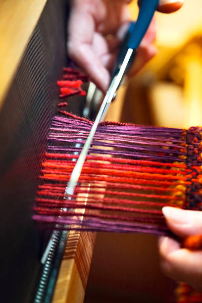 istock Meet the Handloom Weaver 646971022