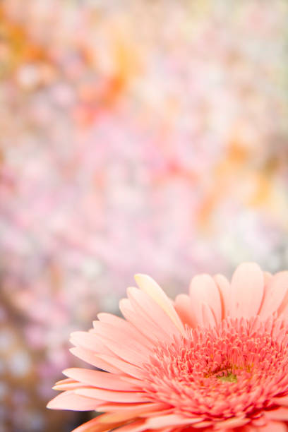 Happy Mother's Day!  Pink daisy flowers against multi-colored, tie dye background.