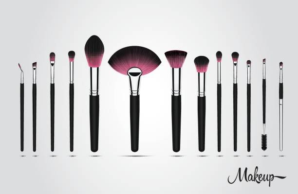 ilustrações de stock, clip art, desenhos animados e ícones de set of makeup cosmetic brushes - make up brush