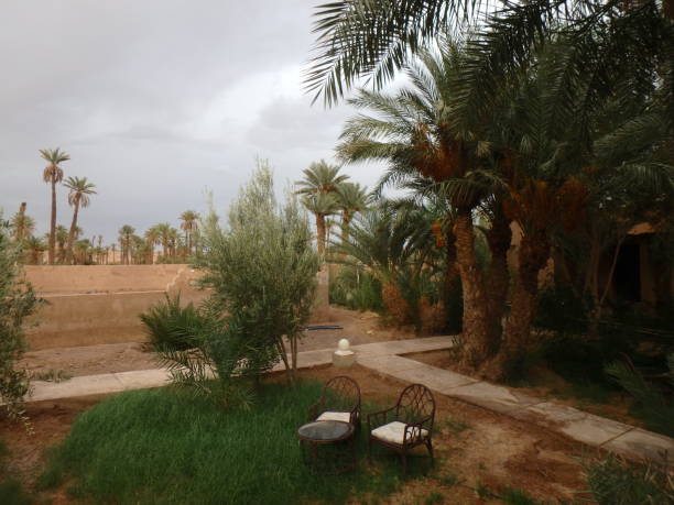 istock Tea time in the Moroccan desert 646977580