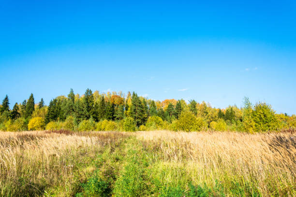istock Landscape in early autumn. 646977762