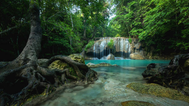 istock Green nature with green waterfall landscape, Erawan waterfall 646978444