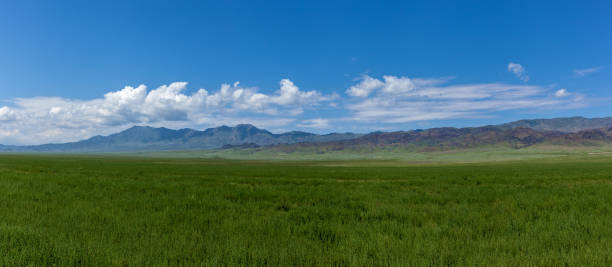istock Steppe Kazakhstan, Trans-Ili Alatau, plateau Assy, 646978496