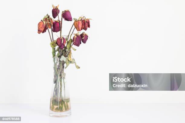 Withered Roses Stock Photo - Download Image Now - Vase, Rose - Flower, Wilted Plant