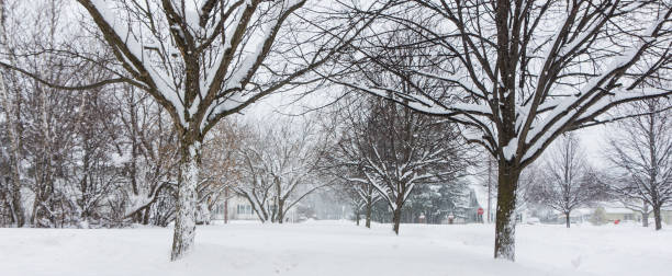 istock during  a snow storm in a neighborhood 646982382