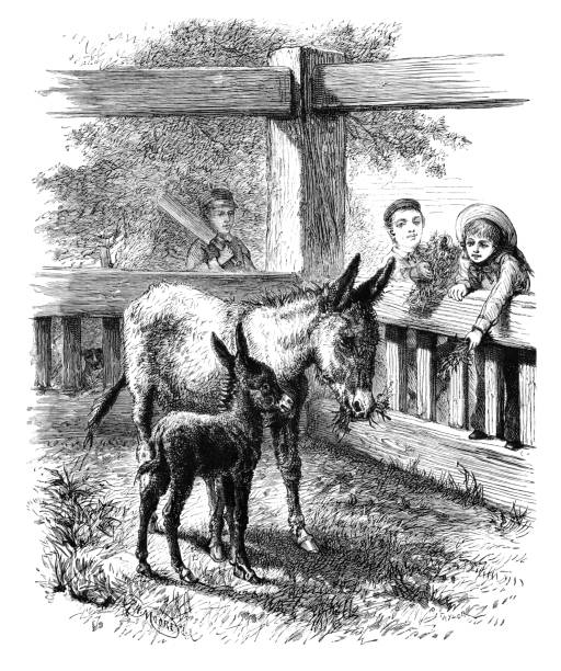 빅토리아 아이 들 먹이 당나귀 - horse child animal feeding stock illustrations