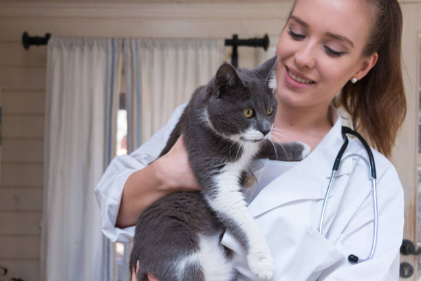 istock Young veterinarian doctor 646993772