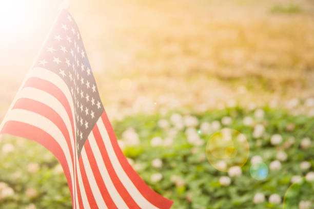 istock USA flag flies in afternoon sun in open meadow. 646996644