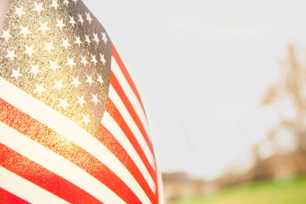 istock USA flag flies in afternoon sun in open meadow. 646996818