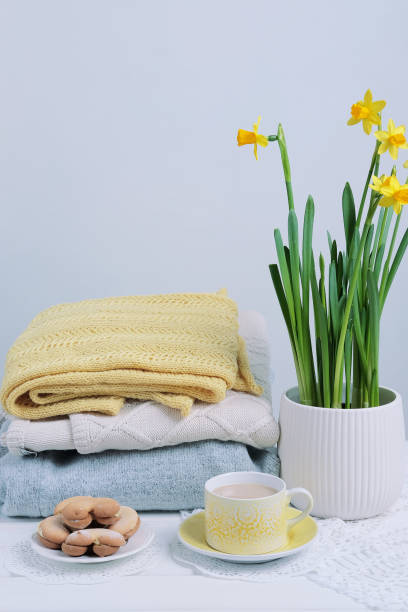 istock Indoor table setting. Narcissus flower in a pot. 647015626