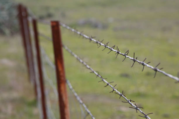 istock Wire fence detail 647018738