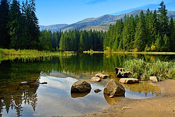 Vrbicke pleso (Vrbicke mountain lake) Low Tatras Slovakia Vrbicke pleso (Vrbicke mountain lake) Low Tatras Slovakia pleso stock pictures, royalty-free photos & images