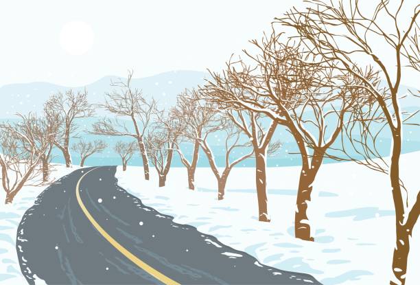 Winter Road in Winter Scene. snow road stock illustrations