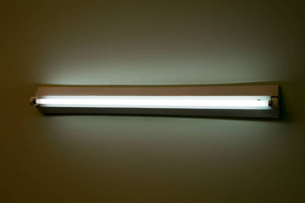 istock Fluorescent lamp at the light green ceiling 647029760