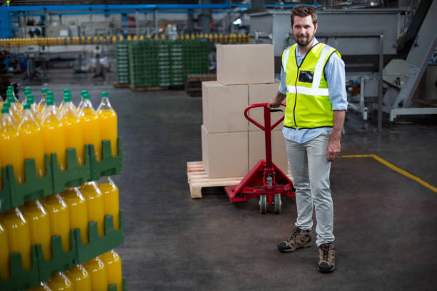 istock Factory worker pulling trolley of cardboard boxes in factory 647050278