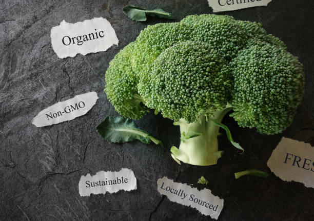 Organic food concept