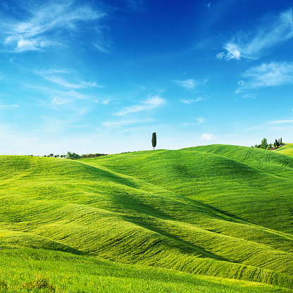 Green Field Landscape - Spring in Tuscany