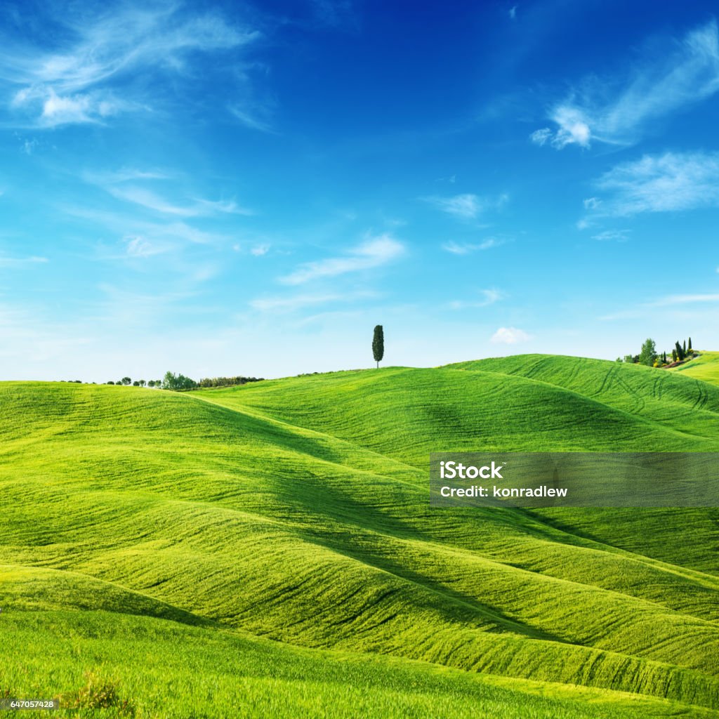 Green Field Landscape - Spring in Tuscany Hill Stock Photo