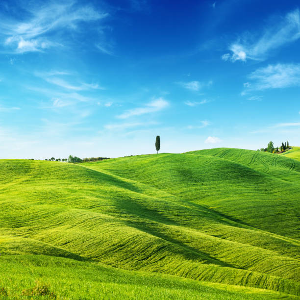 Green Field Landscape - Spring in Tuscany stock photo