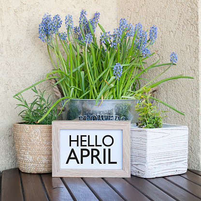 April, spring, greeting