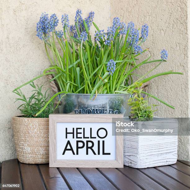 Hello April Stock Photo - Download Image Now - April, Greeting, Springtime