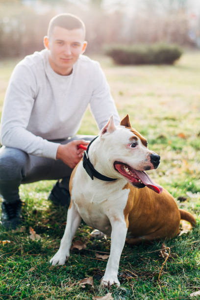 istock Beautiful friendship between dog and man. 647064002