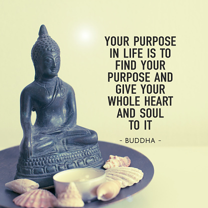 Buddha Quotes Pictures | Download Free Images on Unsplash
