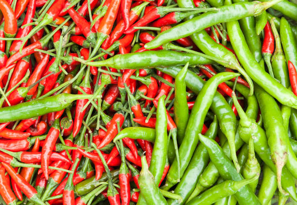 istock red and green chilly pepper 647079852