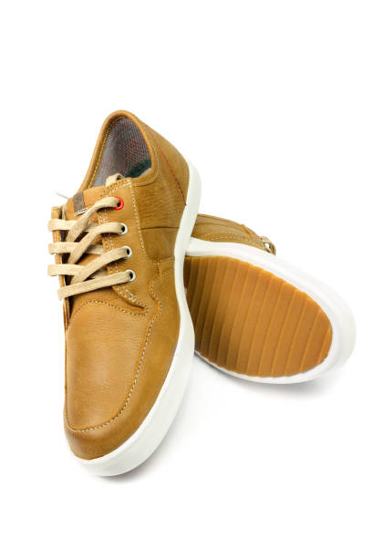 istock Pair of tan color, leather sneakers isolated on white background. 647083794