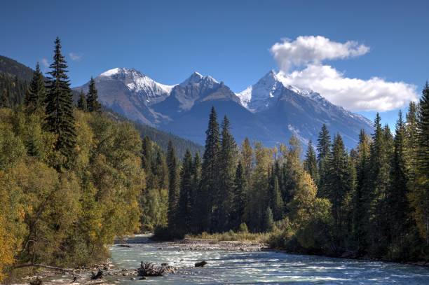 istock North Thompson River with Mount Albreda in background. 647086938