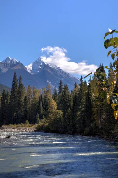 istock North Thompson River with Mount Albreda in background. 647087002