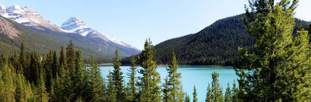 istock Waterfowl Lake in Banff National Park, Alberta, Canada. 647087270