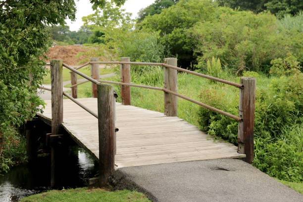 istock Wooden bridge over a steam 647099678