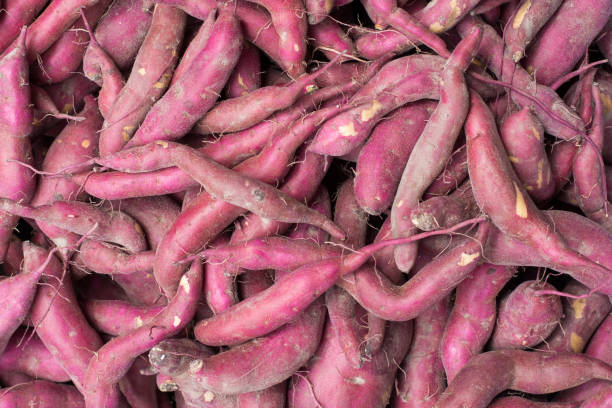 istock Purple sweet potato background 647099882