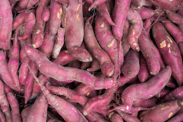 istock Purple sweet potato background 647106370