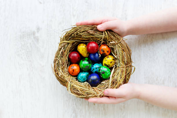 istock Child holding a nest with colored Easter eggs at home on Easter day 647109960