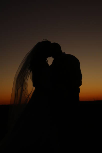 istock Bride Groom Silhouette Heart 647113412