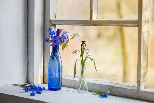 istock Blue snowdrop flowers in a dirty window in the spring 647140100
