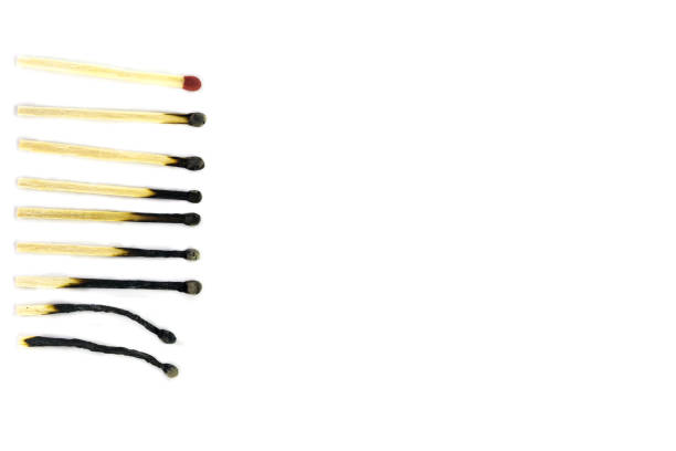 istock Row of burnt match at different stages isolated on white background 647140620