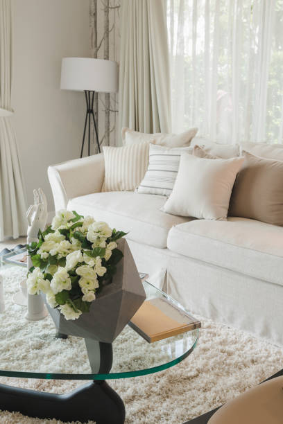 istock set of pillows on classic sofa in modern living room 647140674