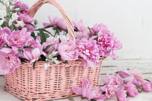 istock pink peony in basket on old white background 647144968