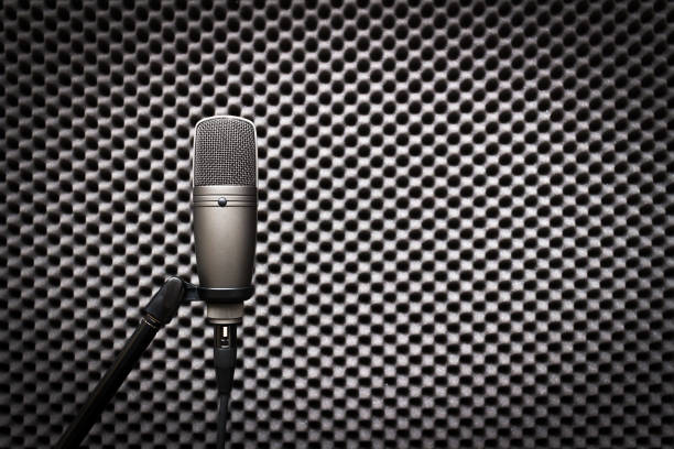 istock condenser microphone in recording studio for music background 647150954