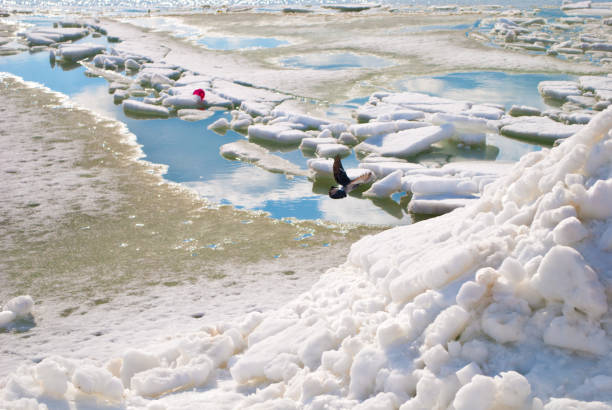 istock The sea in ice 647153750