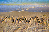von-miami.jpg?b=1&s=170x170&k=20&c=of-KBMoGi9NfVYEukoqMUGVt5bY4BxXXcn6ZWec6Jj4=