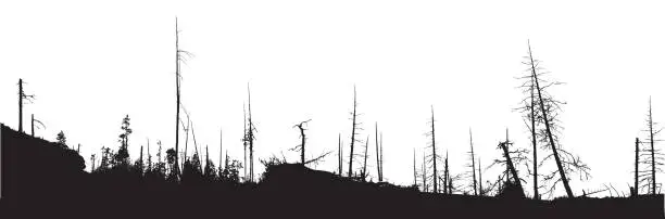 Vector illustration of Forest Fire Natural Disaster