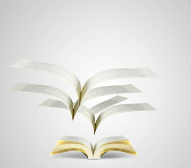 istock Book of fantasy stories 647167016