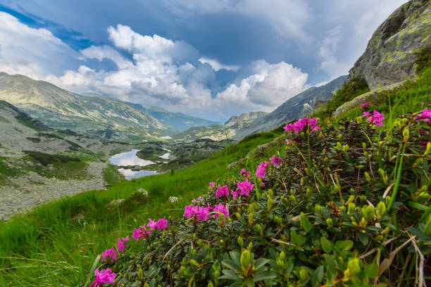 istock Idyllic mountain scenery in the Alps, with storm clouds 647167102