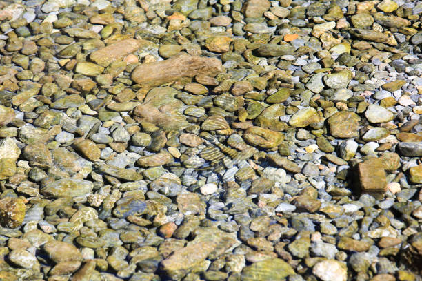 istock Al Thowarah hot springs, Nakhal, Oman 647168594